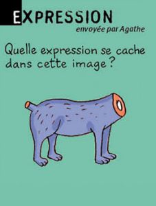 Expression, envoyée par Agathe : Quelle expression se cache dans cette image ? Réponse : sans queue ni tête (c’est à dire « qui ne veut rien dire »).