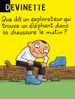 Devinette - Que dit un explorateur qui trouve un éléphant dans sa chaussure le matin ? Réponse : « Je ne savais pas que les éléphants montaient aux arbres. »