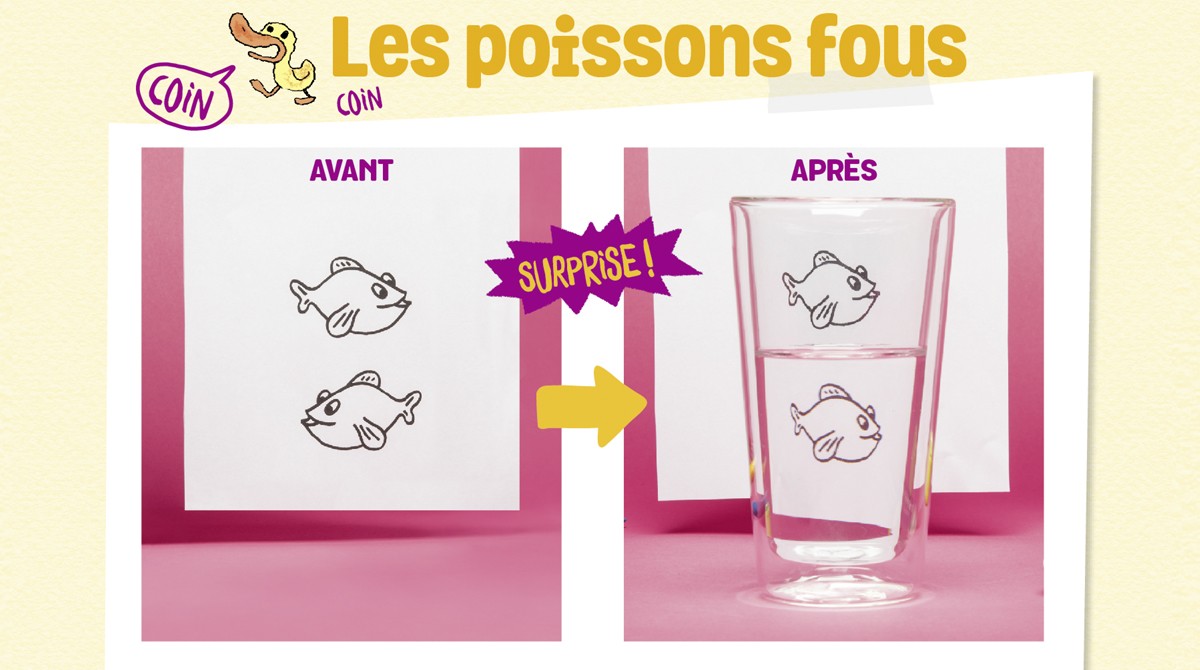 Les poissons fous, une expérience pour épater ta famille et tes copains !