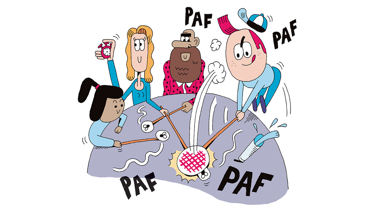 Jeu Paf, la mouche ! - Illustration : Estocafich.