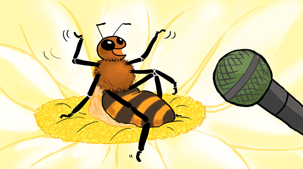 Salut l'info ! 20 mai 2022 - Interview d'une abeille pour la Journée mondiale des abeilles - Elisabeth Borne, nouvelle première ministre - Conseils pour gérer sa colère