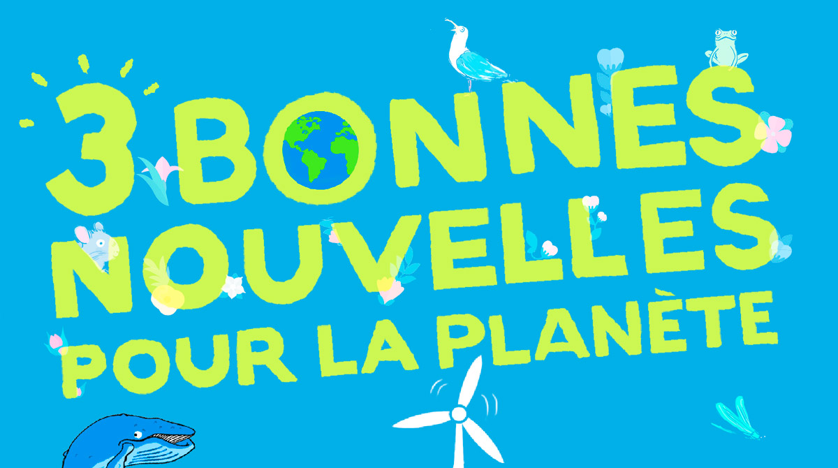 © Zelda Zonk. Salut l'info ! 1er décembre 2023. Dossier : 3 bonnes nouvelles pour la planète.